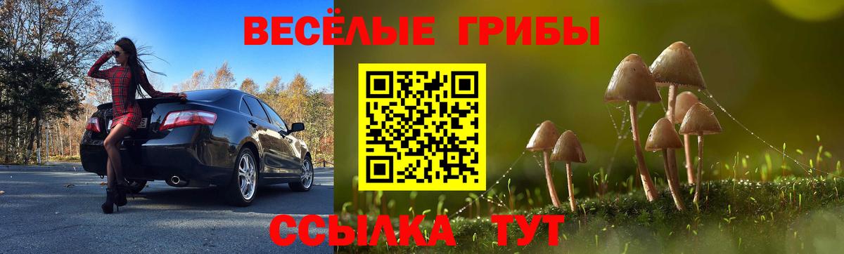Первоуральск  Псилоцибиновые грибы MAGIC MUSHROOMS  сколько стоит  Галлюциногенные грибы Cubensis  Вход с VPN 